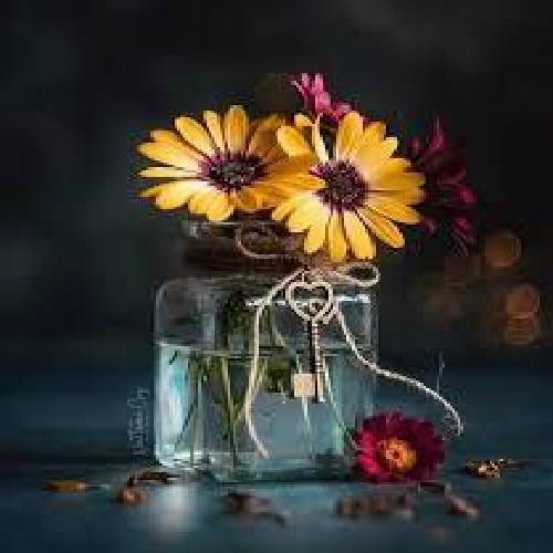 مرتضی حسینی و محمد طاها دلگیرم